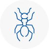 Ant Removals In Mountain Ash