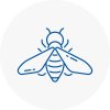 Bee Nest Removal Mountain Ash