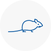 Mice Exterminators In Mountain Ash