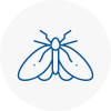Moth Control Specialists In Mountain Ash