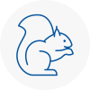 Mountain Ash Rodent Removals